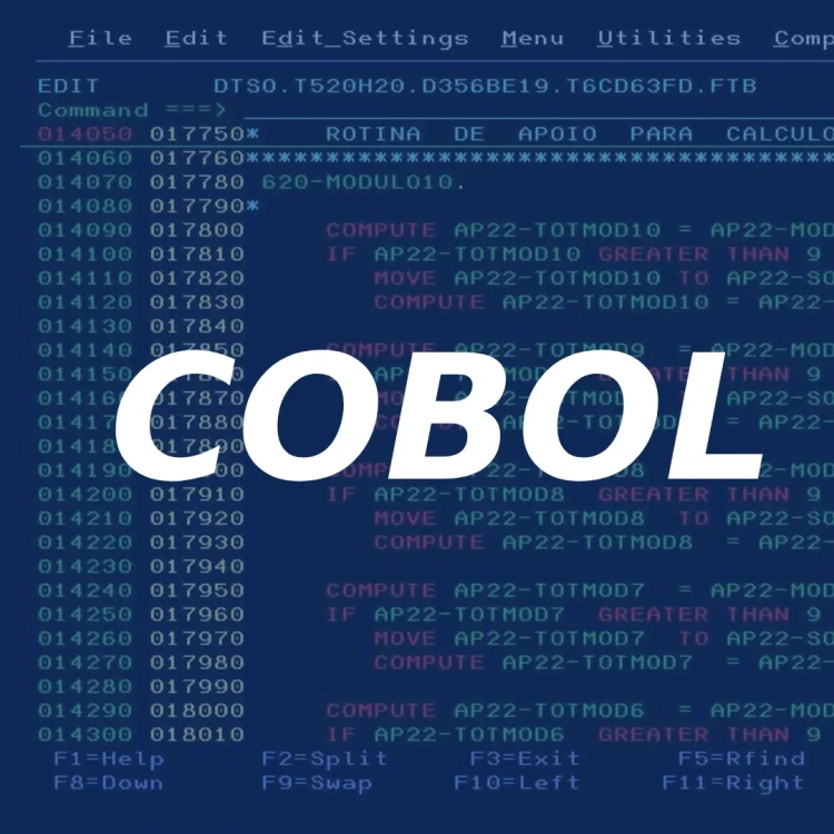 desenvolvedor cobol